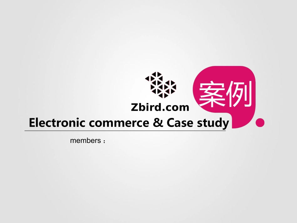 电商案例分析【钻石小鸟】_第1页