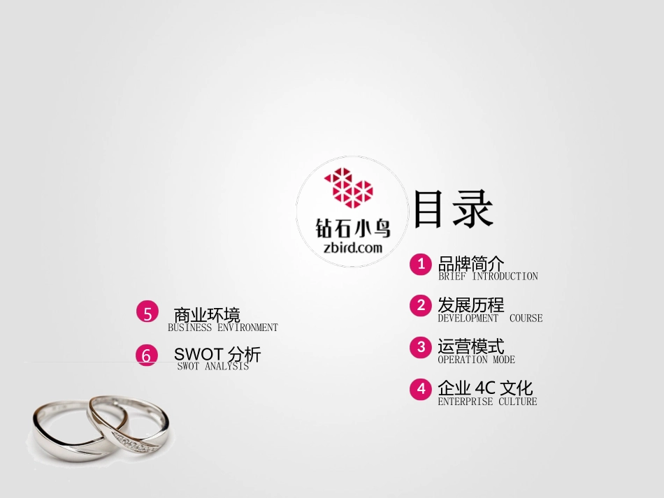 电商案例分析【钻石小鸟】_第2页