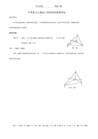 中考复习之相似三角形的性质和判定