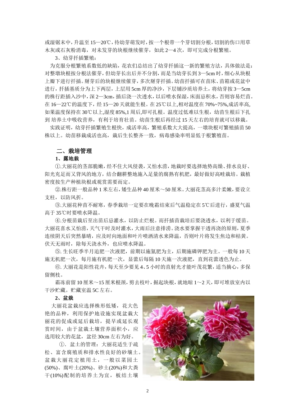 大丽花栽培技术_第2页