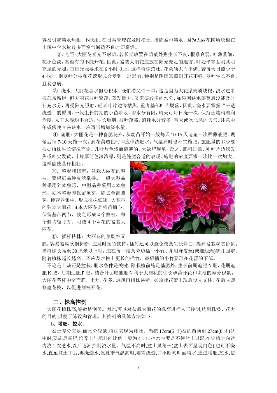 大丽花栽培技术_第3页