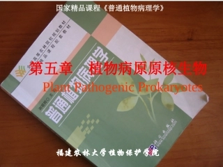 第五章 植物病原原核生物