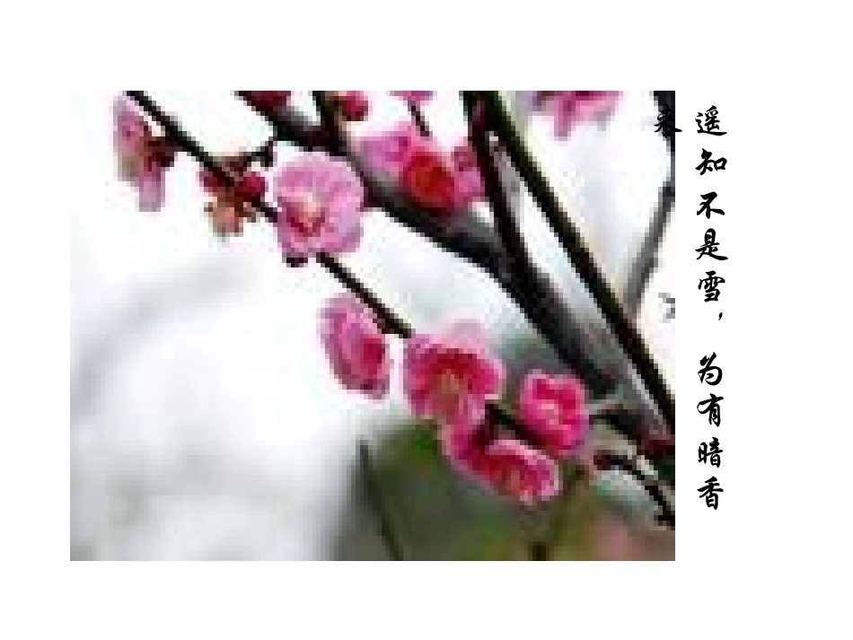 初三化学《分子和原子》PPT课件_第2页