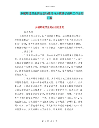 乡镇环境卫生突击活动意见与乡镇班子任职工作总结汇编