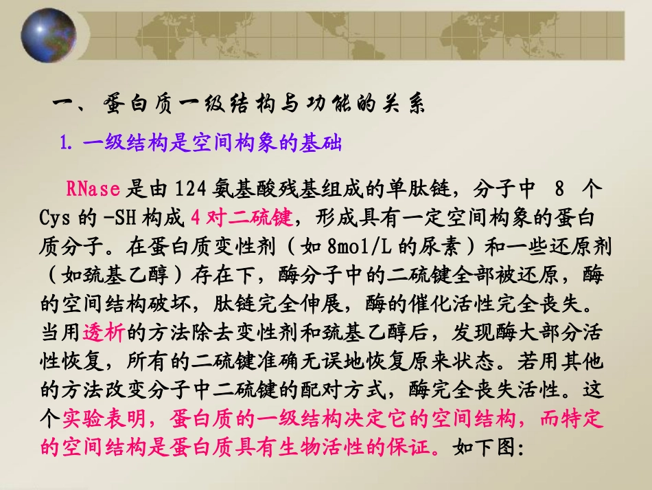 蛋白质结构与功能关系_第3页