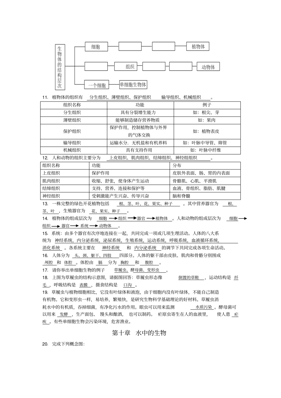 中考指引苏科版生物中考复习七年级下册知识梳理_第2页