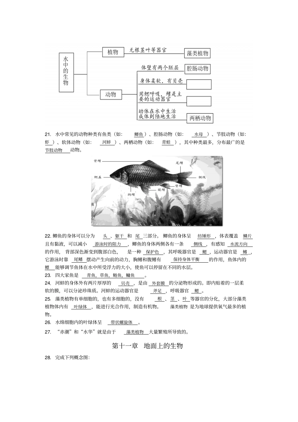 中考指引苏科版生物中考复习七年级下册知识梳理_第3页