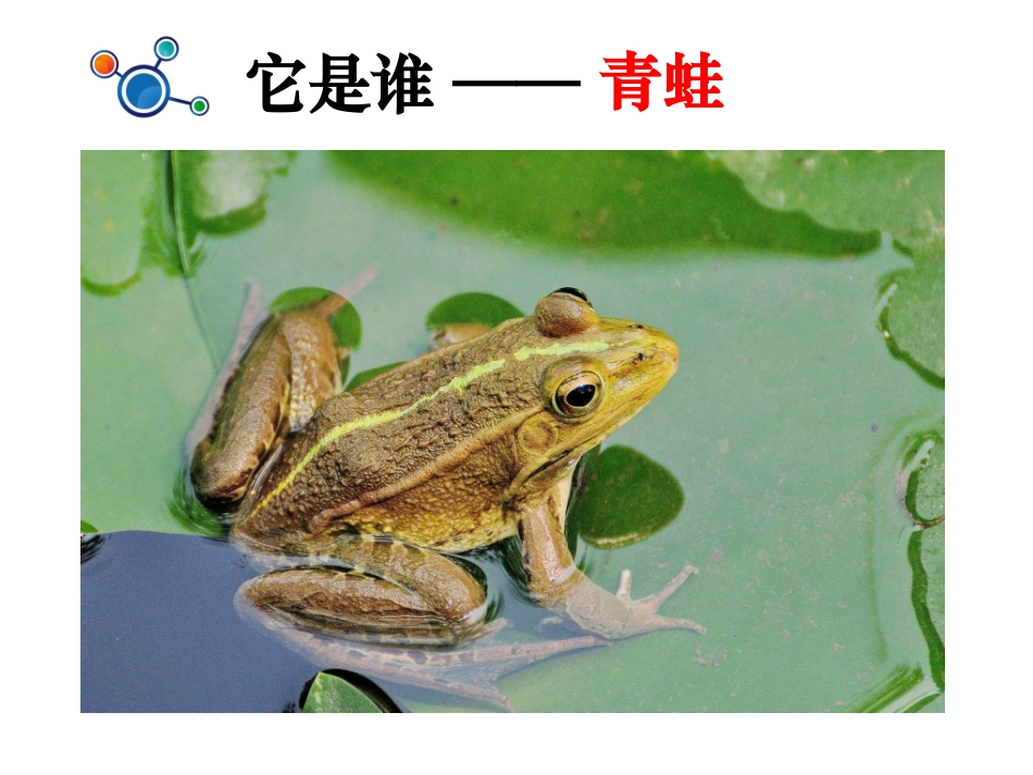 第一单元-植物_植物是活的吗__第3页