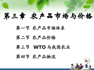 第三章 农产品市场与价格zyx