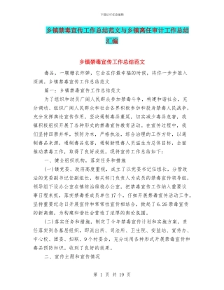 乡镇禁毒宣传工作总结范文与乡镇离任审计工作总结汇编