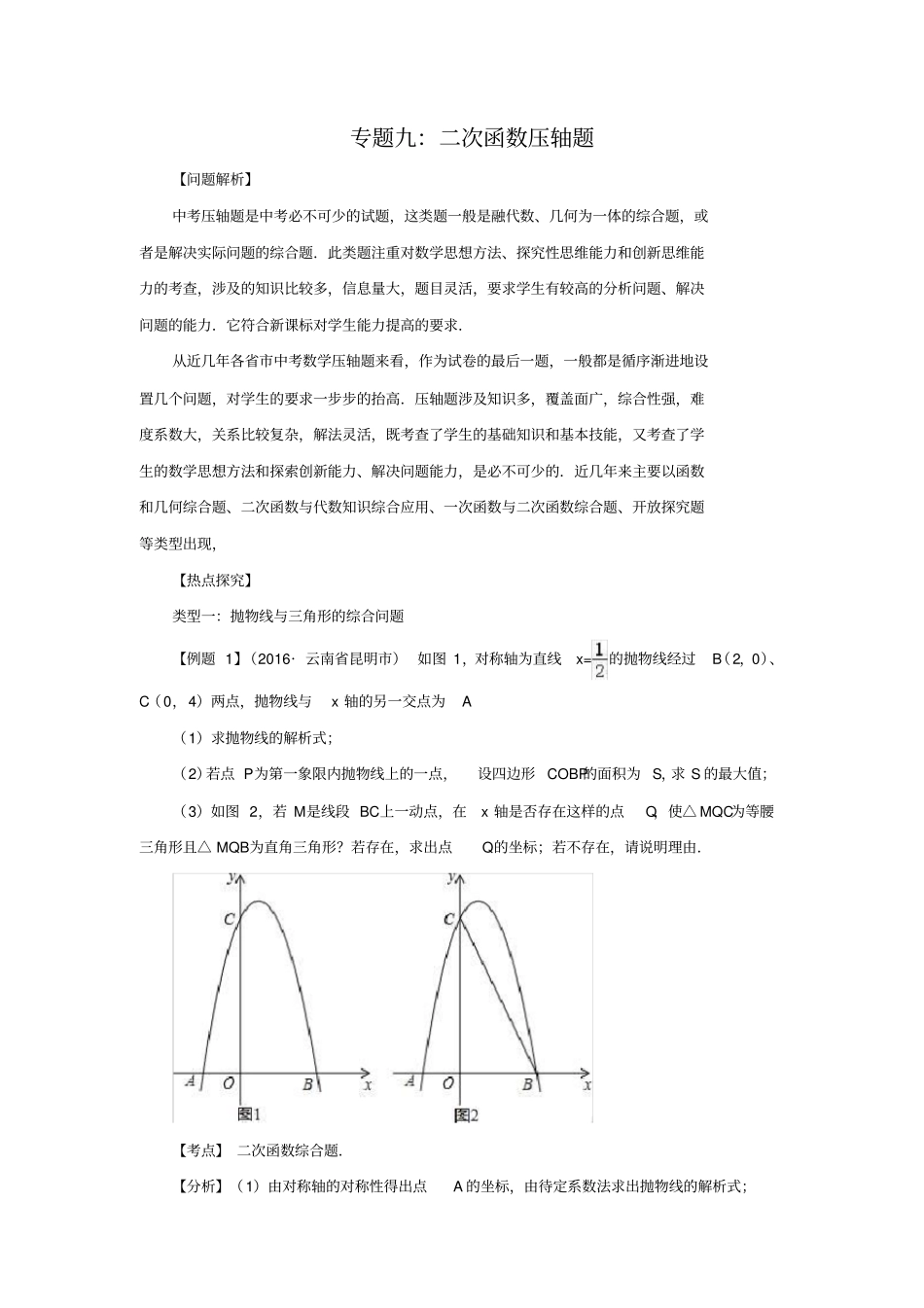 中考数学专题复习九：中考压轴题_第1页