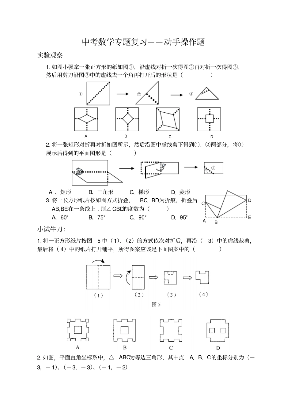 中考数学专题复习动手操作题_第1页