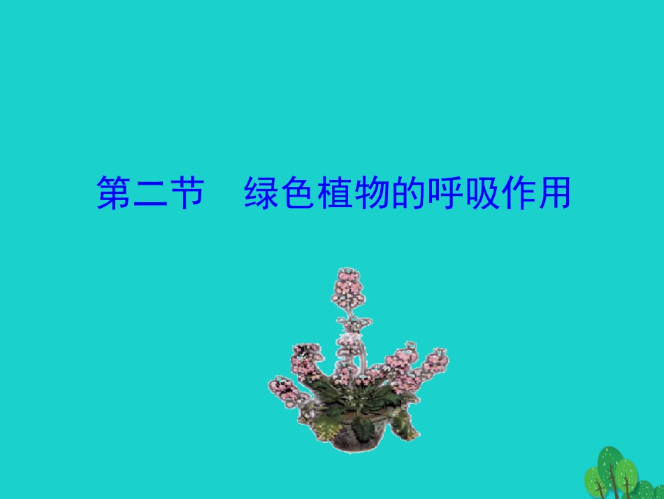 第二节  绿色植物的呼吸作用_第1页