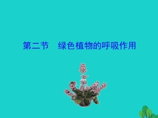第二节  绿色植物的呼吸作用