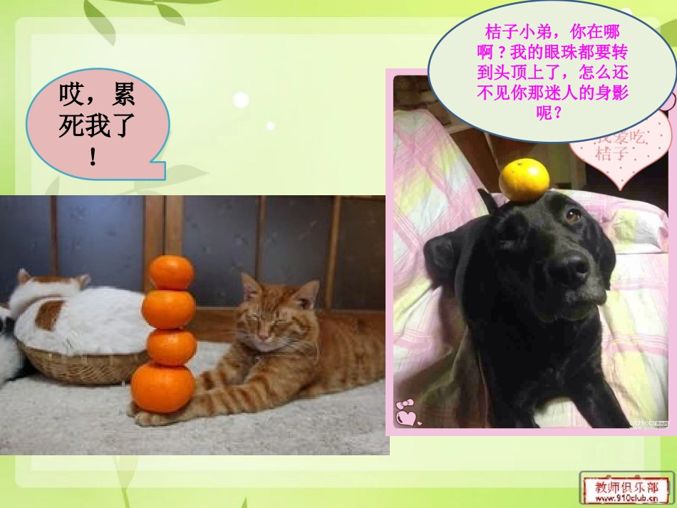 顶桔子游戏作文采用本_第3页