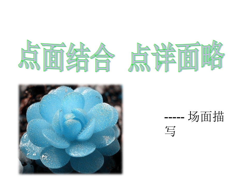点详面略-场面描写(精致PPT)_第1页