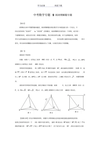 中考数学专题阅读理解题专题