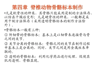 第4章  脊椎动物骨骼标本制作