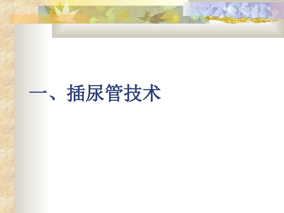 导尿术培训讲义：_第2页