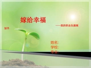 大学生职业生涯规划书ppt模版