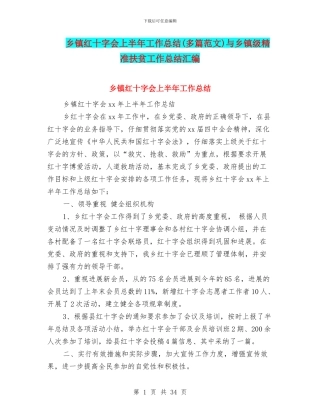 乡镇红十字会上半年工作总结与乡镇级精准扶贫工作总结汇编