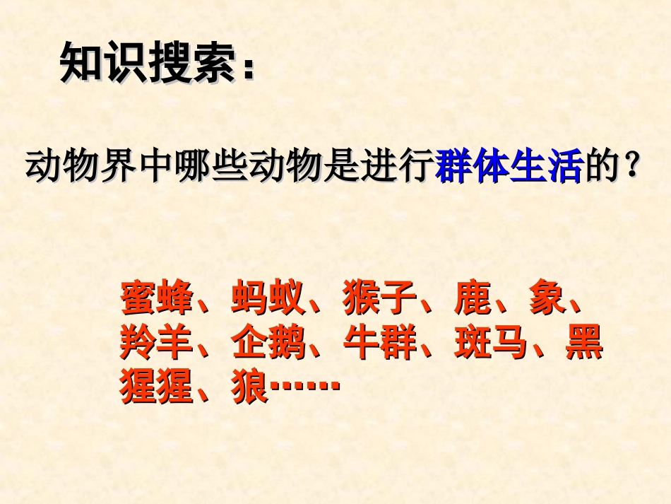第三节社会行为_第2页