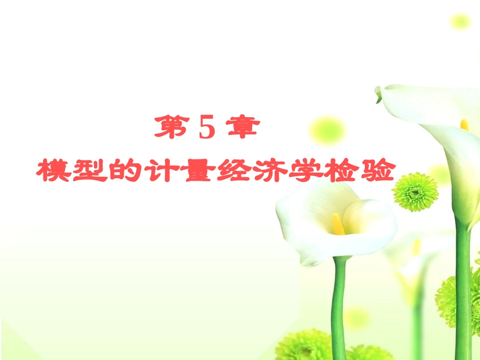 第5章 模型的计量经济学检验_第1页