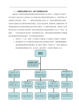 财务体系模式及组织架构方案(简版)