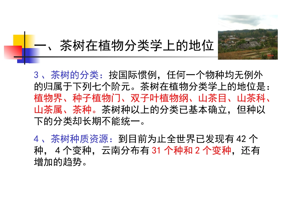 茶树的植物学特征和生物学特性(转载-老师课件)_第3页