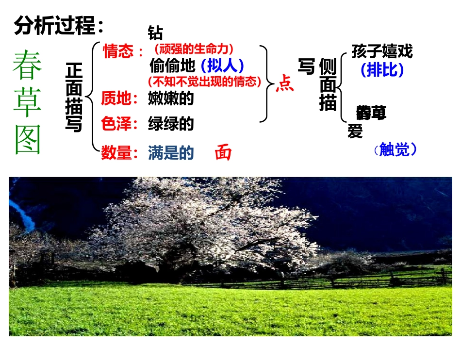 春  思维导图_第3页