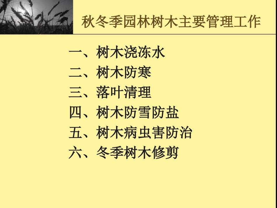 冬季园林树木养护管理_第2页