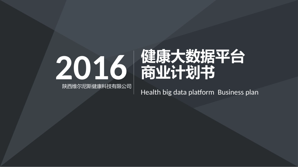 大数据健康平台商业计划书_第1页