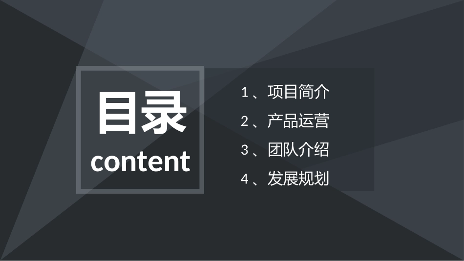 大数据健康平台商业计划书_第2页