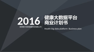 大数据健康平台商业计划书
