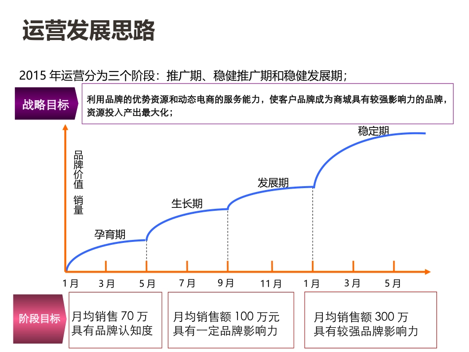电商_代运营策划整体推广方案_第3页