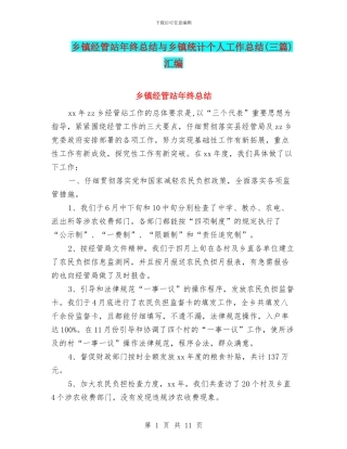 乡镇经管站年终总结与乡镇统计个人工作总结(三篇)汇编