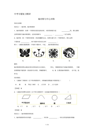 中考数学对称性问题专题复习精精练及答案