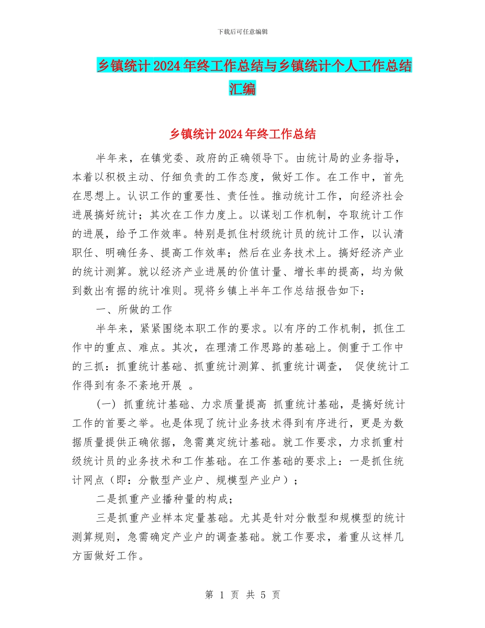 乡镇统计2024年终工作总结与乡镇统计个人工作总结汇编_第1页