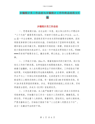 乡镇统计员工作总结与乡镇统计工作年终总结范文汇编