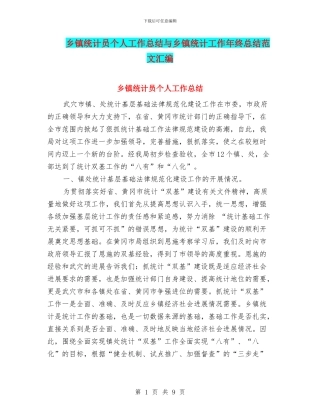 乡镇统计员个人工作总结与乡镇统计工作年终总结范文汇编