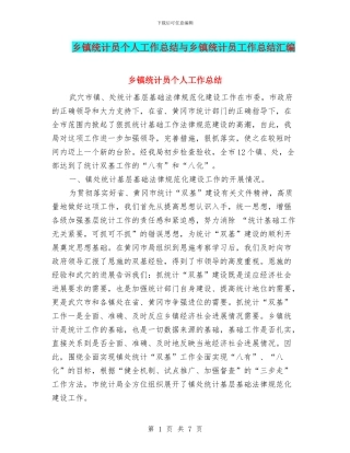 乡镇统计员个人工作总结与乡镇统计员工作总结汇编