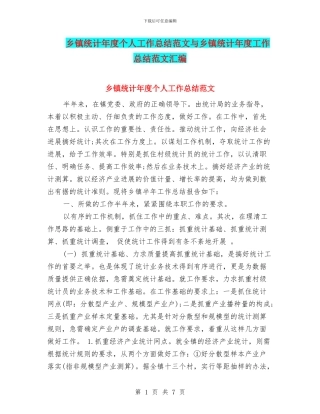 乡镇统计年度个人工作总结范文与乡镇统计年度工作总结范文汇编