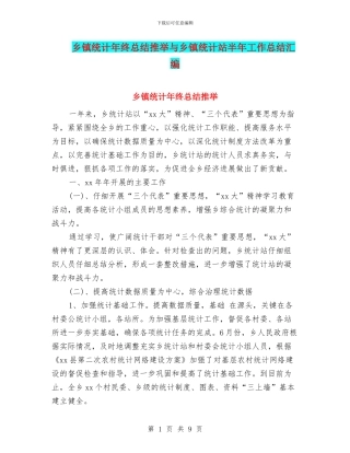 乡镇统计年终总结推荐与乡镇统计站半年工作总结汇编