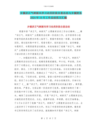 乡镇讲正气树新风学习动员阶段自查总结与乡镇财务2024年10月工作总结范文汇编