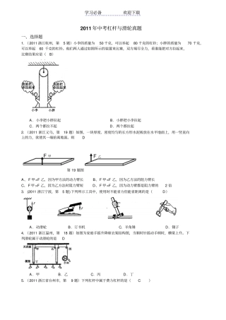 中考杠杆与滑轮专题集锦