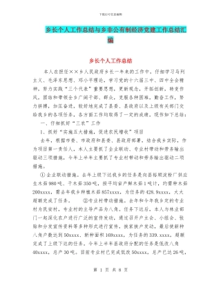 乡长个人工作总结与乡非公有制经济党建工作总结汇编