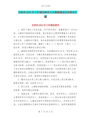 乡防汛2024年工作情况报告与乡集镇建设自评报告汇编