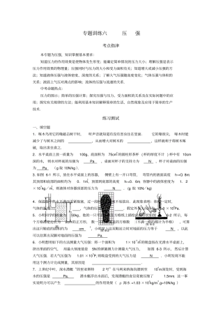 中考物理压强专题训练及答案