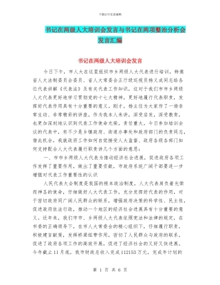 书记在两级人大培训会发言与书记在两项整治分析会发言汇编