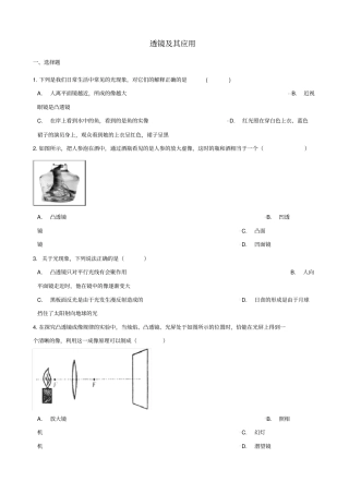 中考物理总复习透镜及其应用专题训